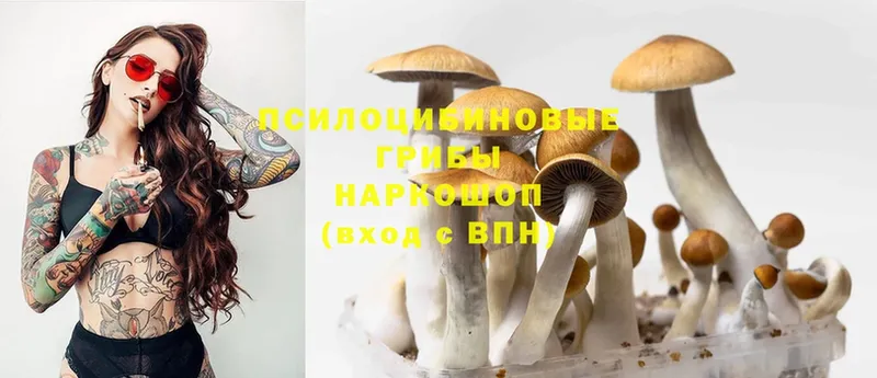 даркнет телеграм  Большой Камень  Псилоцибиновые грибы MAGIC MUSHROOMS  закладки 